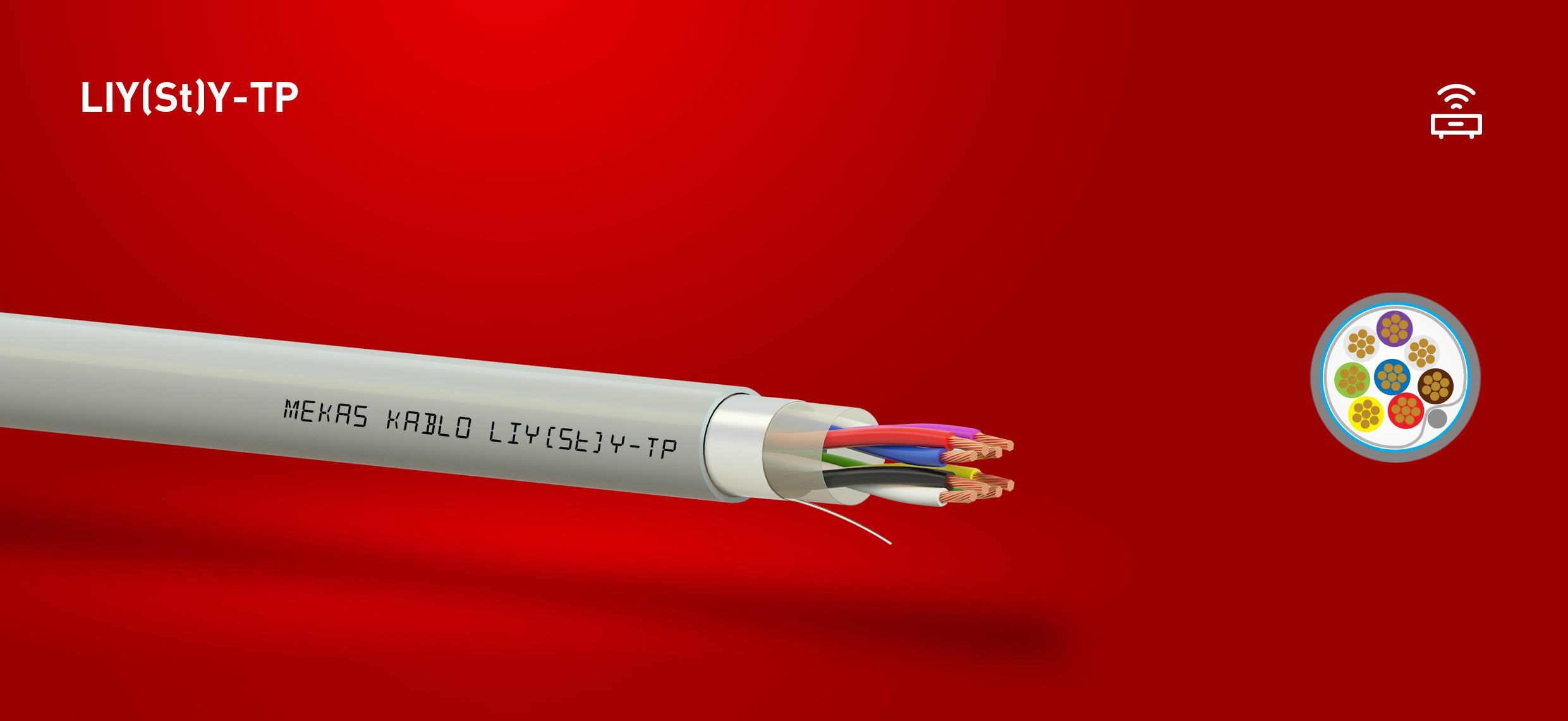 LIY(ST)Y-TP