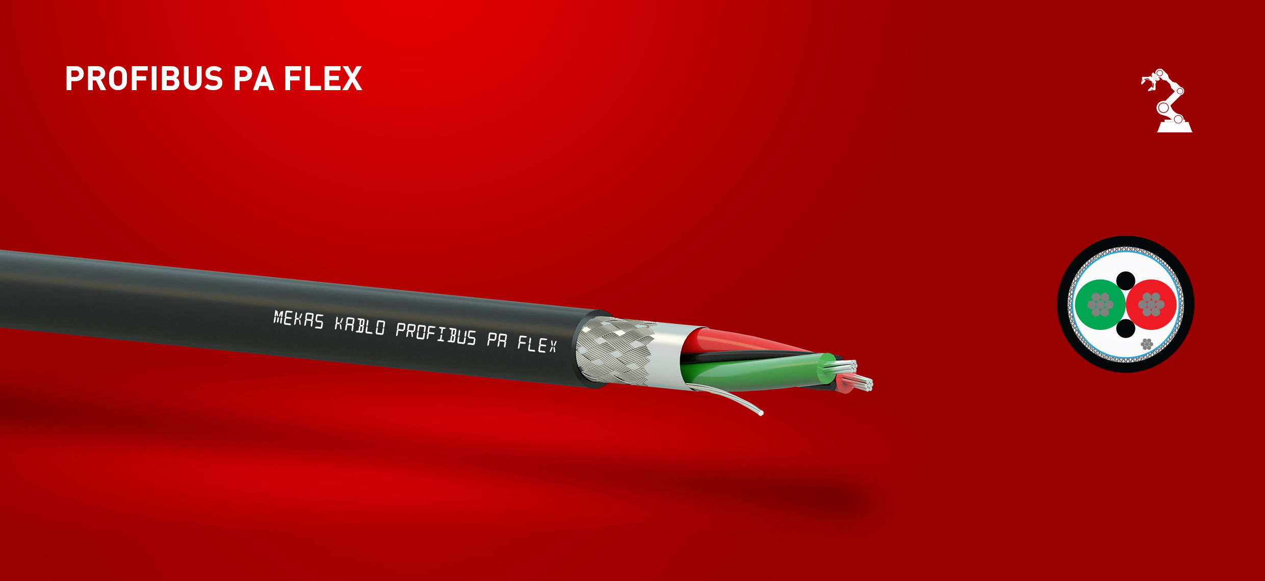 PROFIBUS PA FLEX 1 PROFIBUS PA FLEX